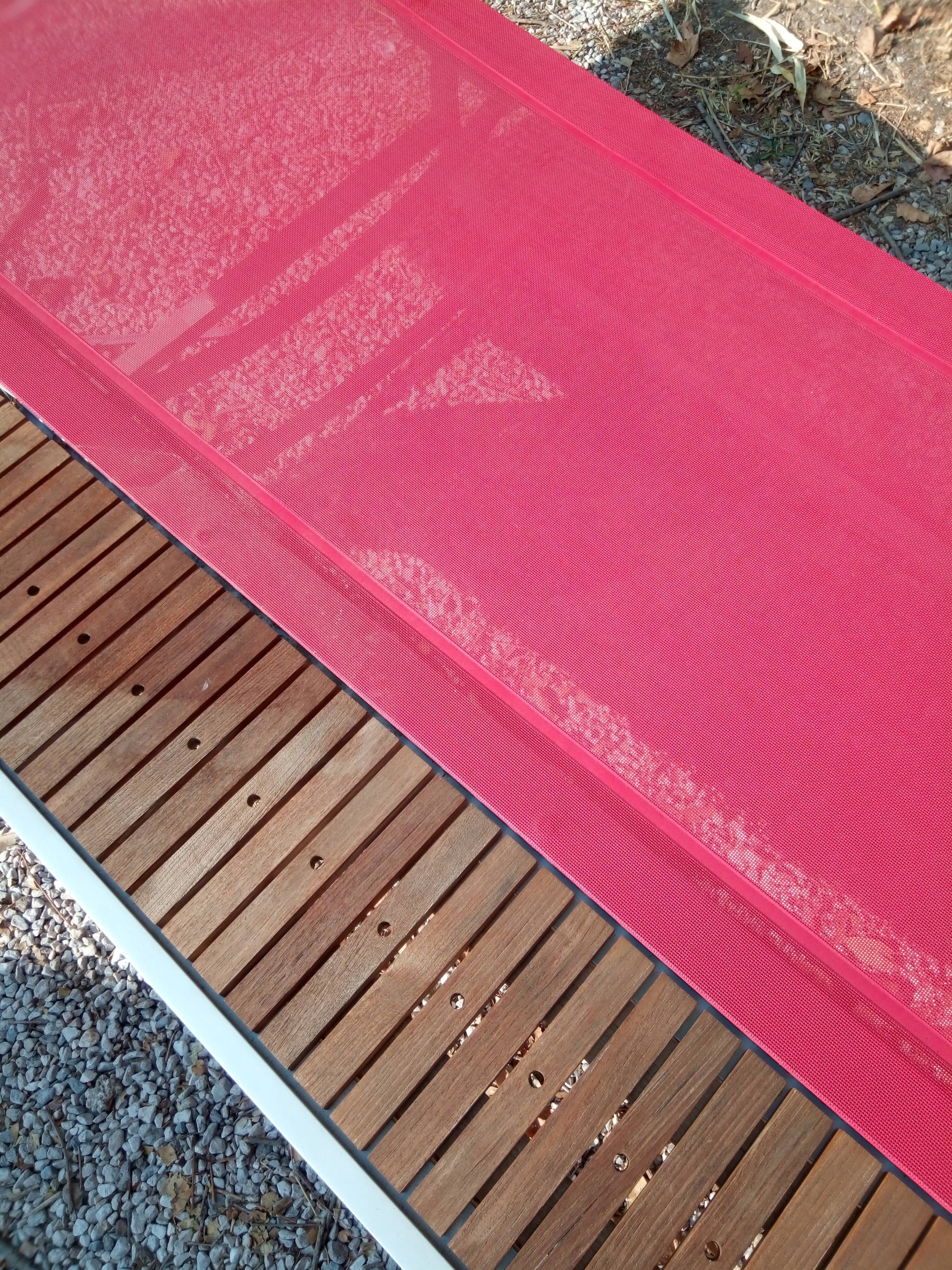 Sunbathing Tandem by Thomas Sauvage