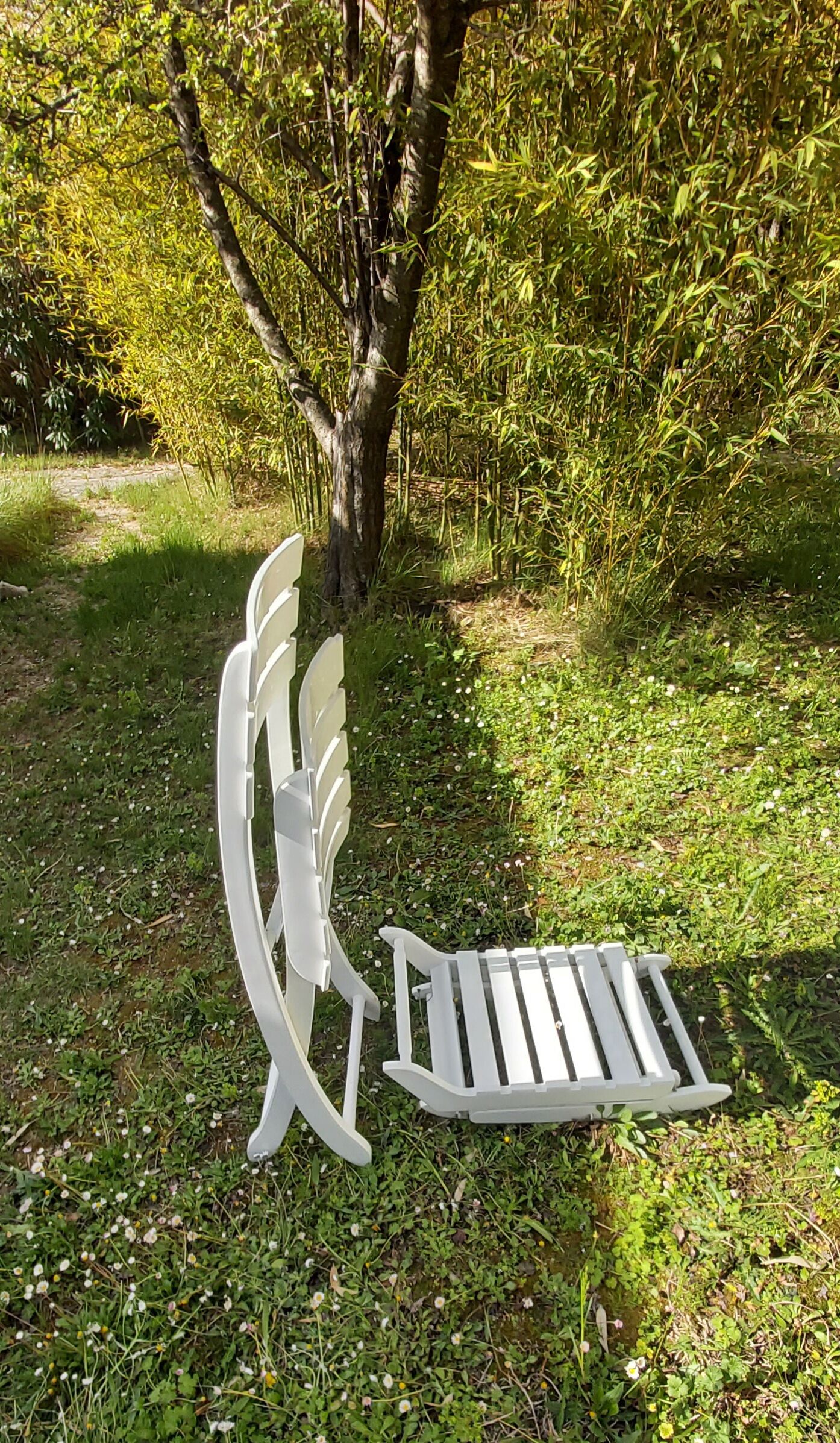 Vintage Triconfort garden set