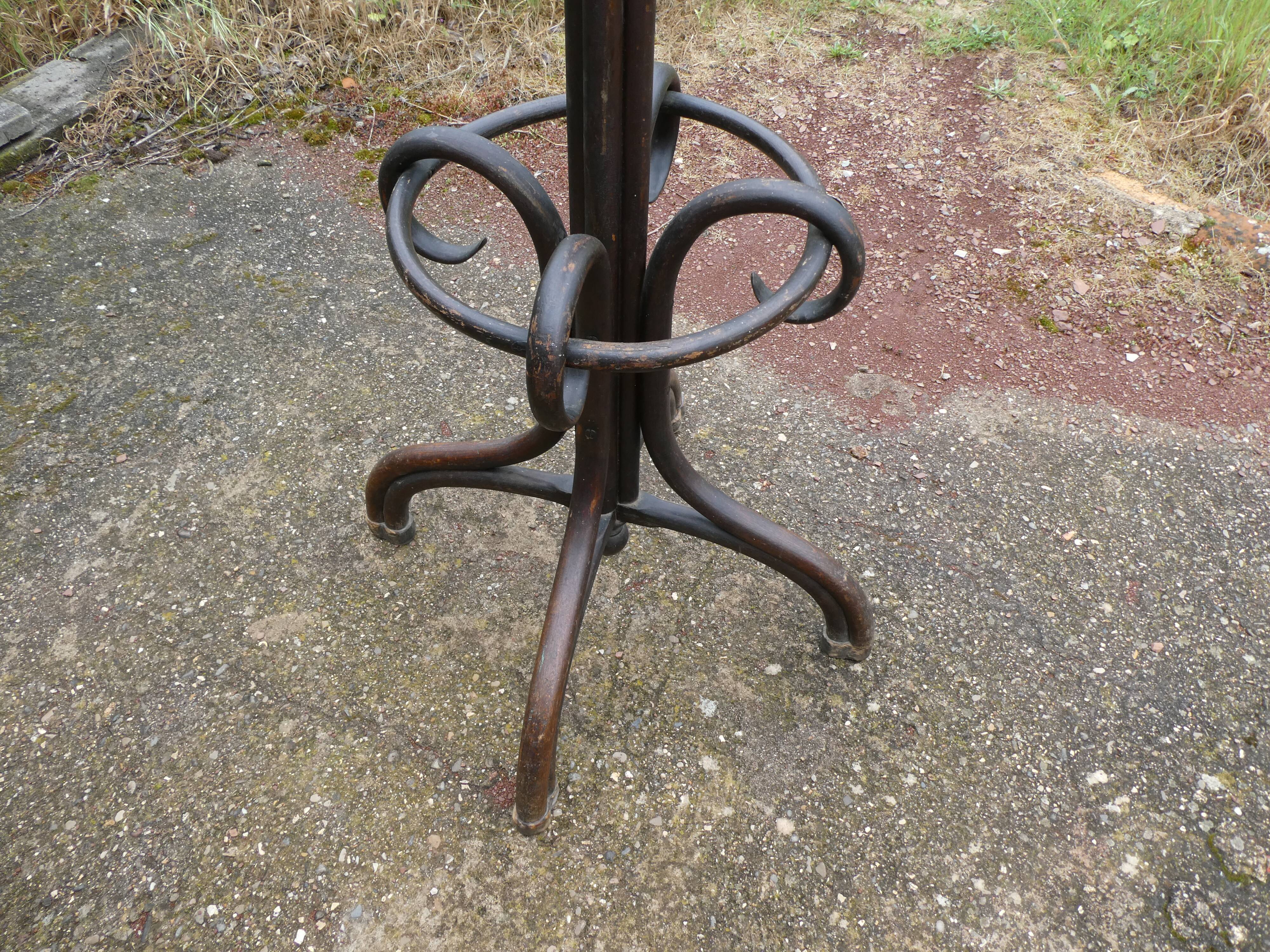 Parrot coat holder in curved wood - Art Nouveau