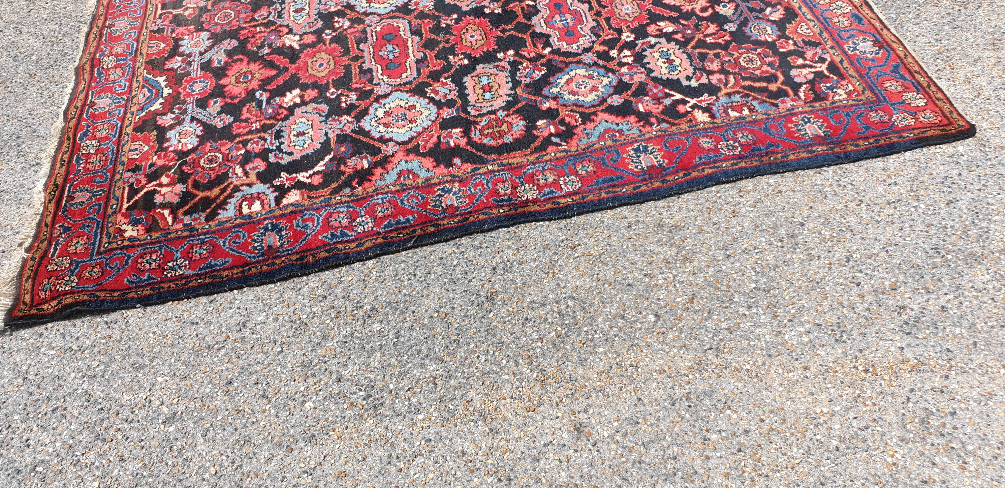 Oriental carpet wool