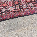 Oriental carpet wool