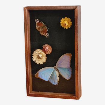 Frame 2 stuffed butterflies and dried flowers