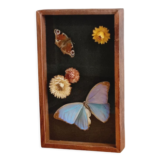 Frame 2 stuffed butterflies and dried flowers