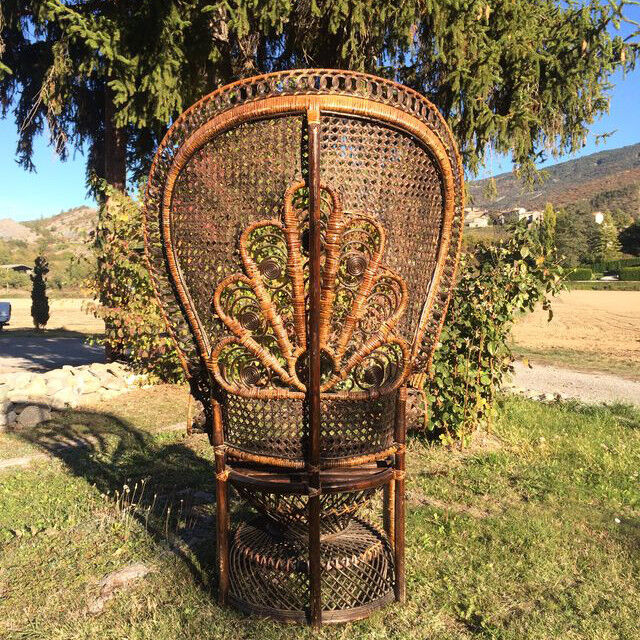 Emmanuelle adult peacock chair for the 70s