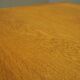Ash desk, Danish design, 1970s, production: Denmark