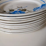 Flat plates Simone Badonviller