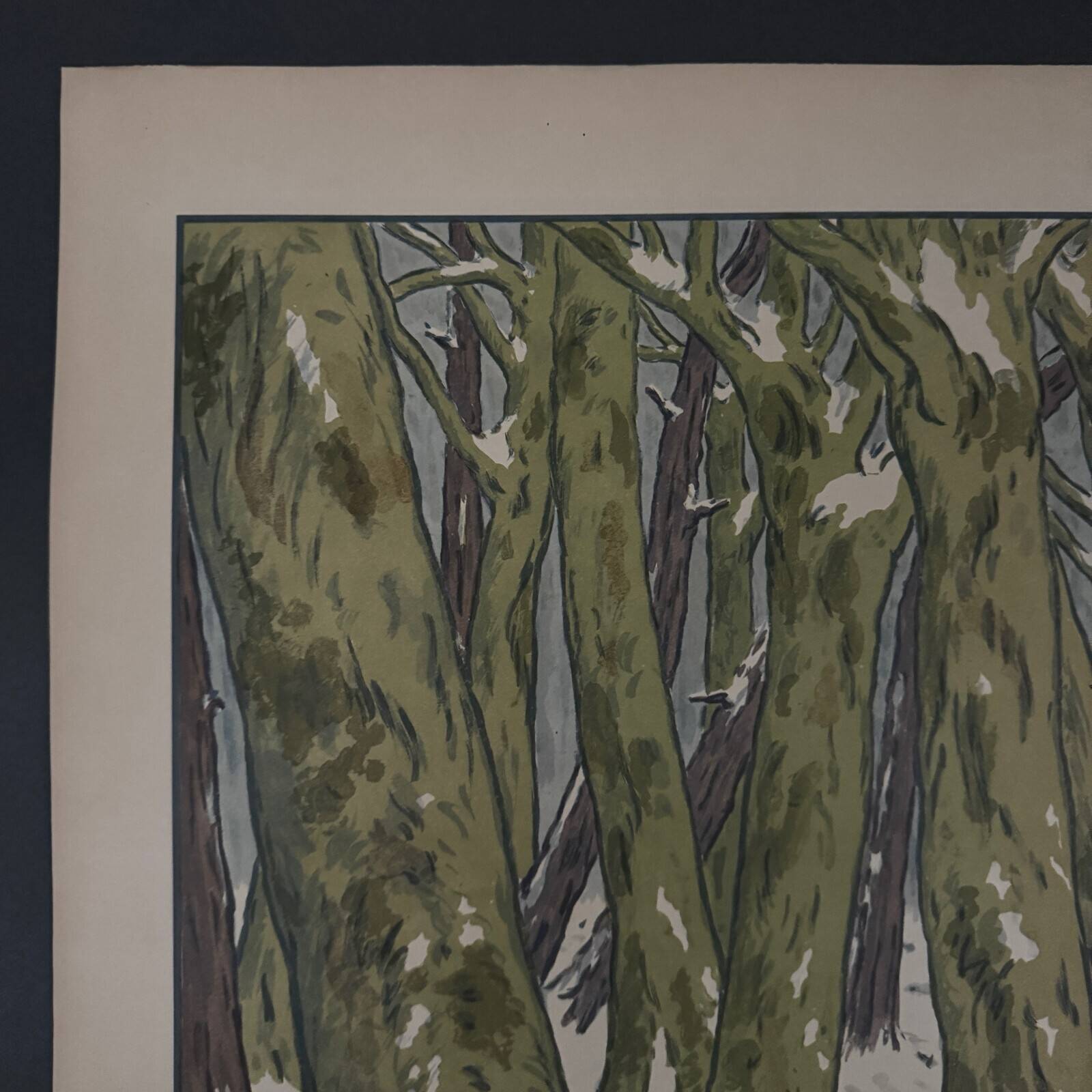 Lithograph by Henri Rivière Aspects of Nature - Winter Woods
