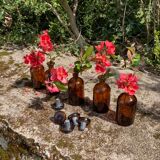 Lot de petits bocaux bocal pharmacie