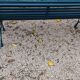Garden Bench