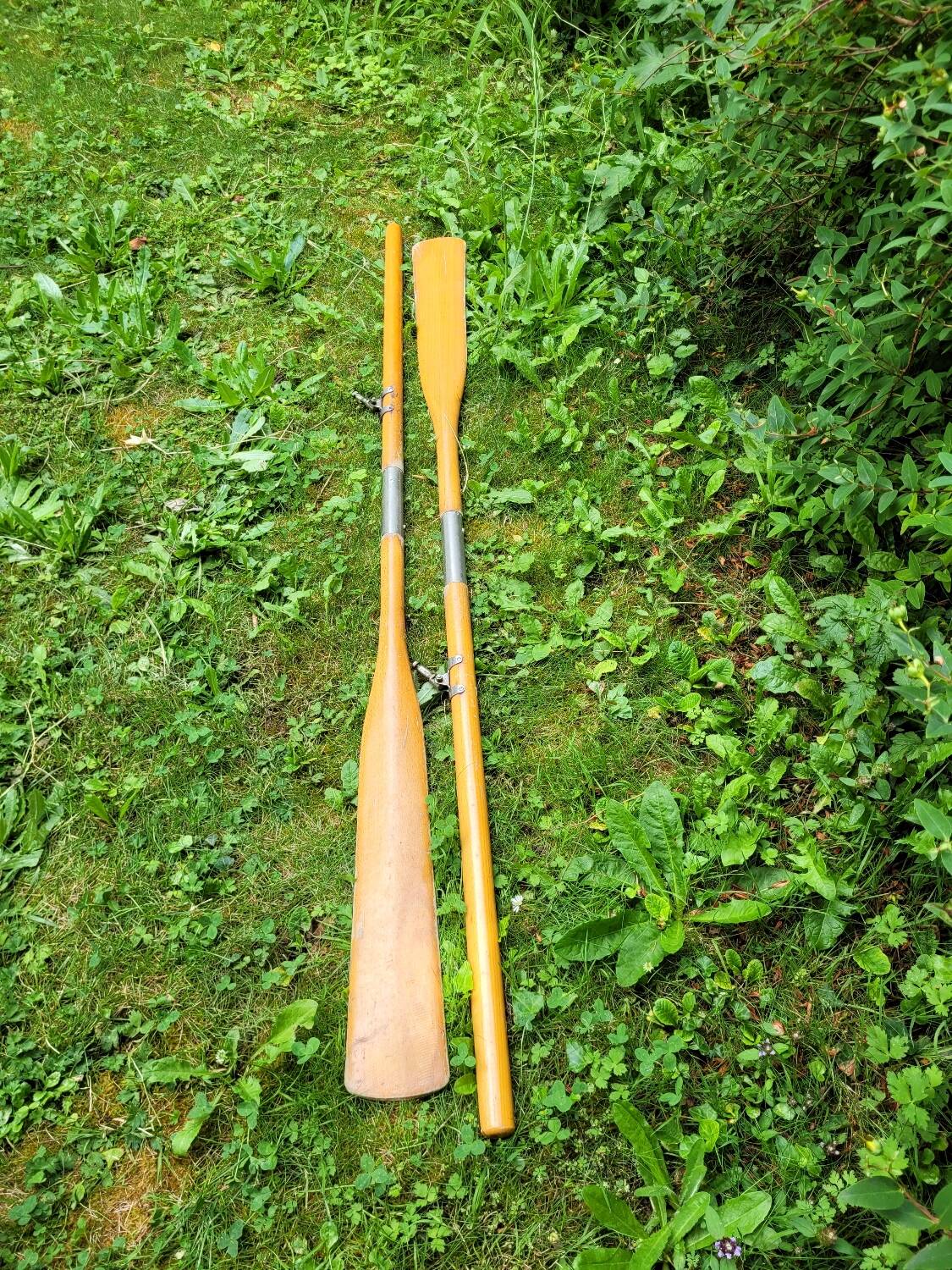 Pair of wooden oars