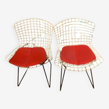 Pair of Vintage Chairs by Harry Bertoia for Knoll International, 1970s