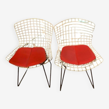 Paire de Chaises Vintage par Harry Bertoia pour Knoll International, 1970s