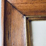 Framed botanical poster