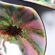 Pair of multicoloured glazed ceramic studio dishes, vintage 1960s.
