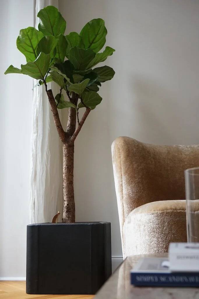 Mid-century leather planter by De Sede