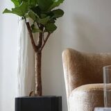 Mid-century leather planter by De Sede