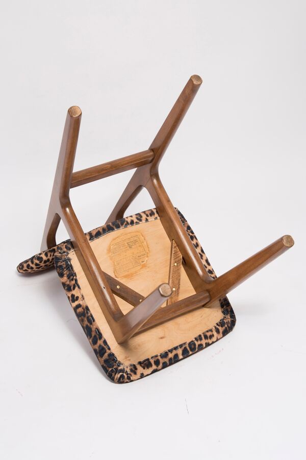 Chaise en velours léopard du milieu du siècle, bois de hêtre, Rajmund Halas, Pologne, 1960s