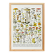 Poster about "Amanita" mushrooms, based on a 1928 lithograph