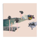 Collage swimming pool n.1