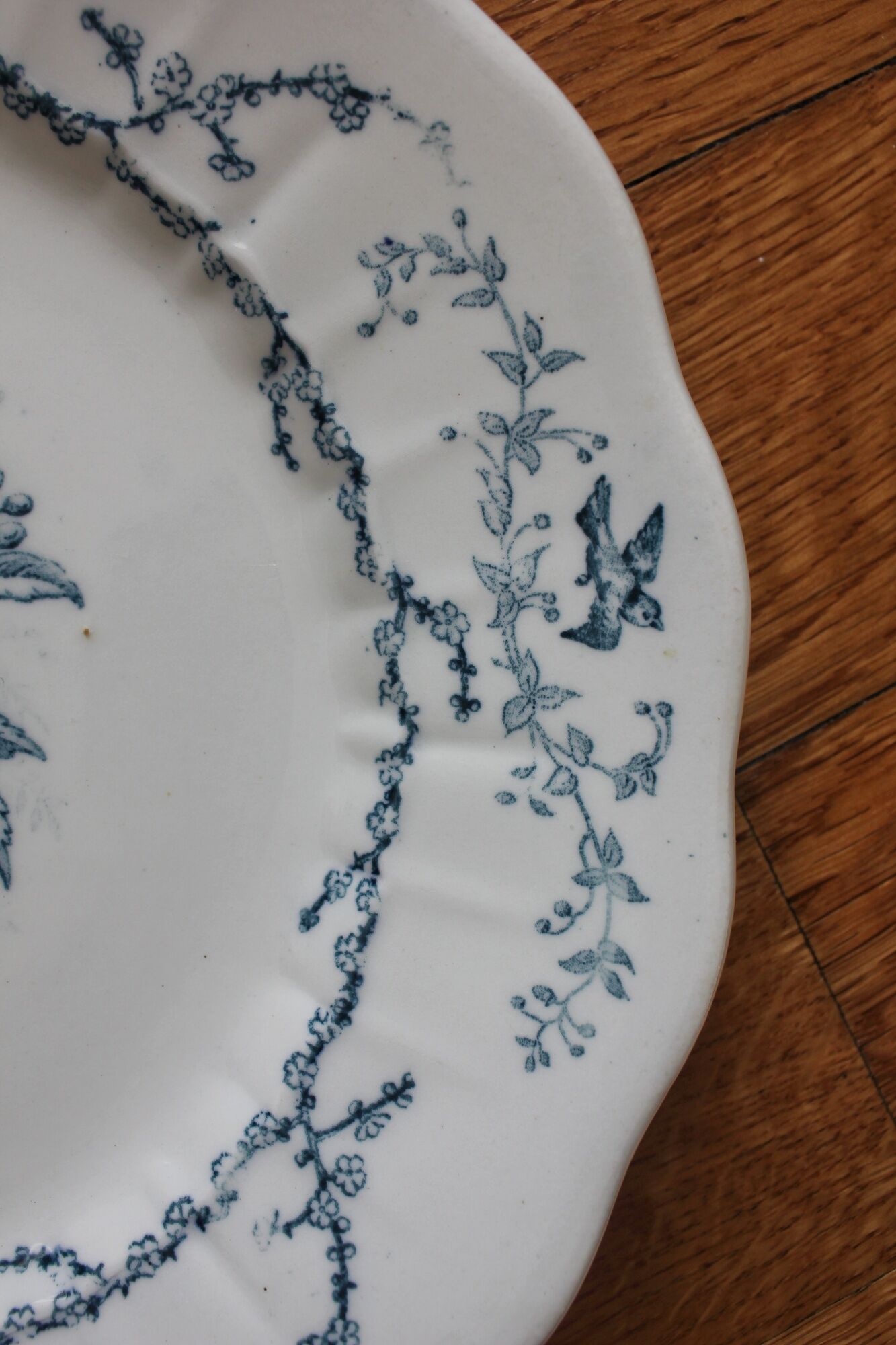 6 flat plates in iron earth Pompadour earthenware factory of Clairefontaine