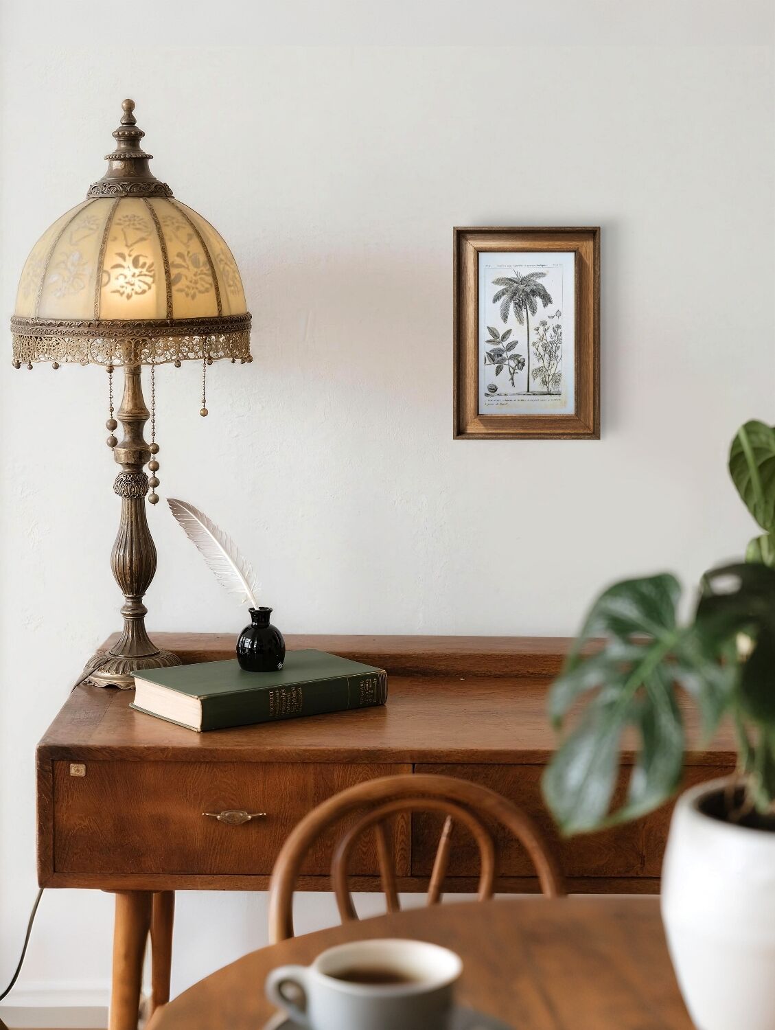 Printed in 1818, coconut tree, walnut and fennel. By Saint-Pierre.