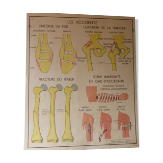 Tableaux de sciences rossignol