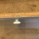Table de ferme
