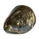 Cendrier en bronze en forme de coquille d'huître
