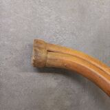 Thonet parrot coat rack