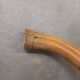 Thonet parrot coat rack