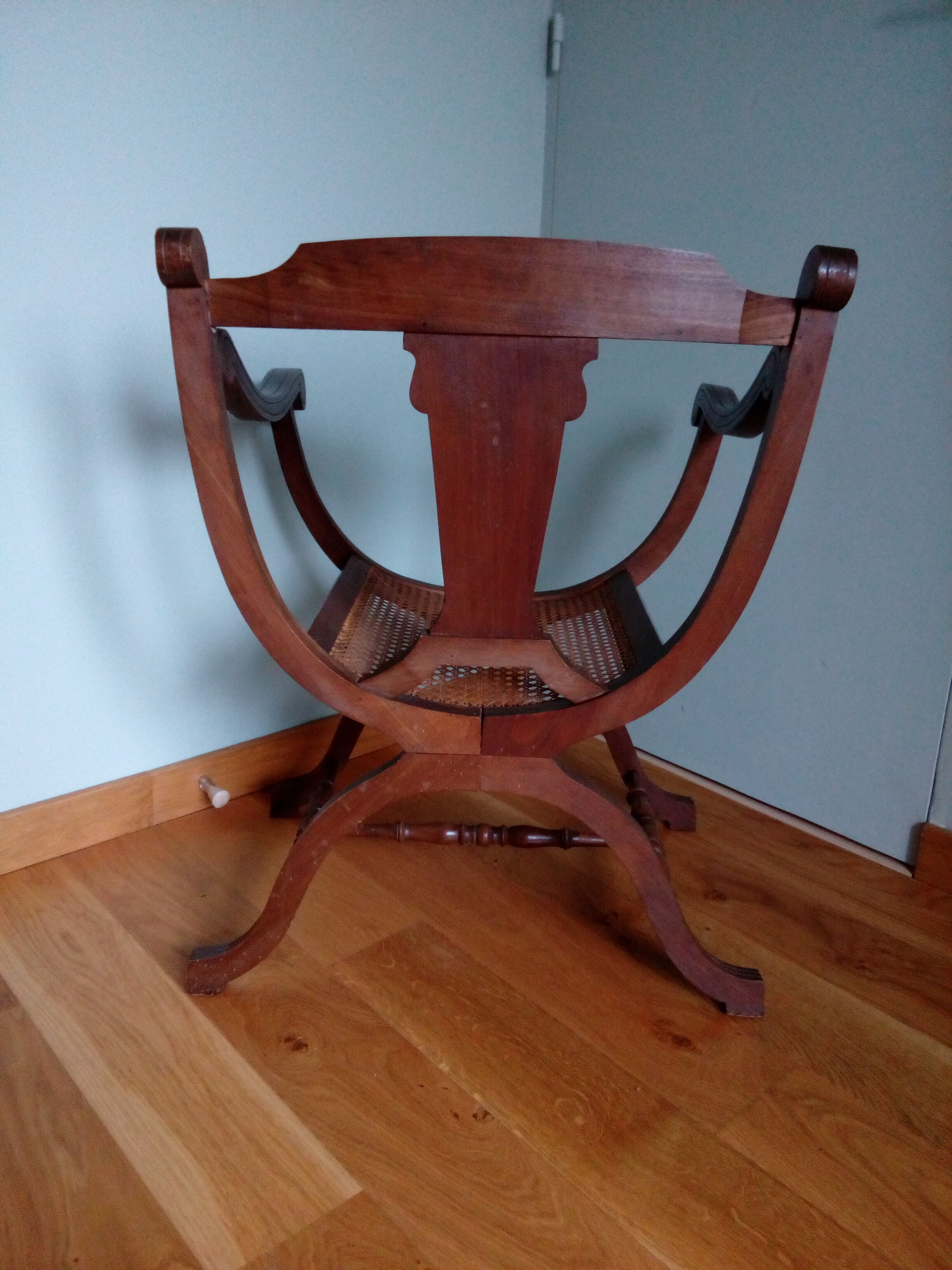 Curule or dagobert canna chair
