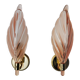 Pair of pink leaf sconces, mazzega murano, italy 1970