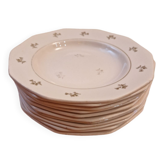 Assiette plates ancienne dorées rose terre de fer porcelaine