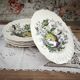 Set of 6 Royal Doulton deep plates in the Kirkwood pattern.