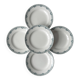 5 ironware plates