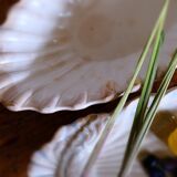 Ravier Faïence Arboras Rhône/Grigny 1830