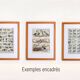 Old engraving 1922 M. Dessertenne - Goats, main breeds, caprines,