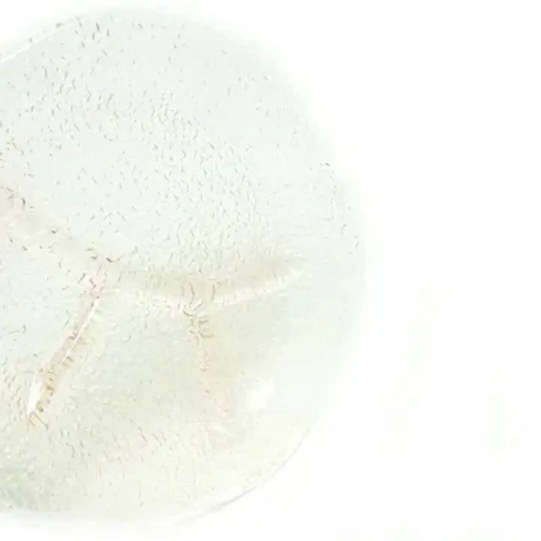 Appetizer platter, modernism, rose glass, designed by J.S. Drost, Ząbkowice, Poland, 1970s