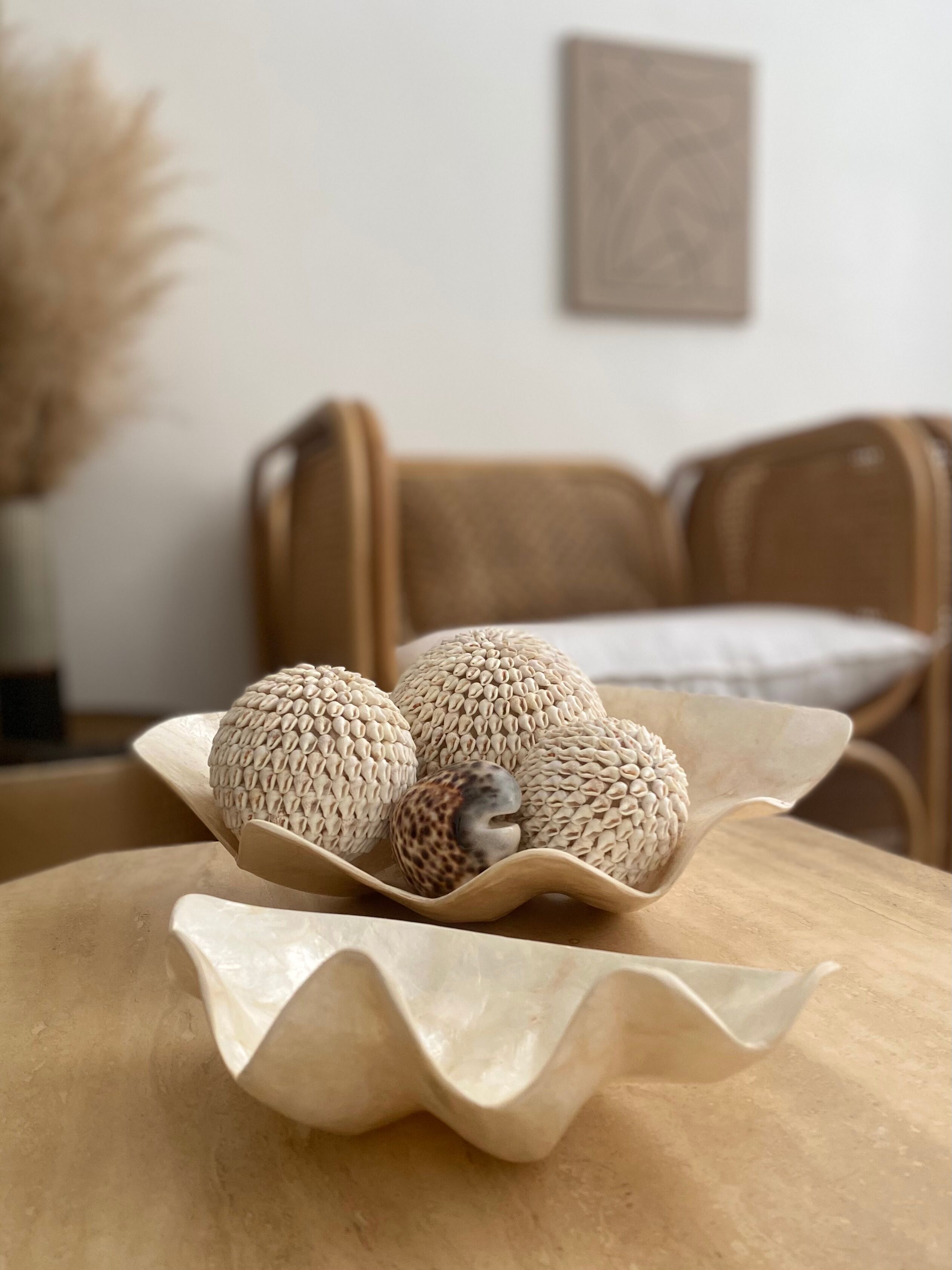 Pearly white shell benign cup