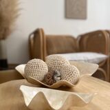 Pearly white shell benign cup