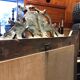 Antique Louis XV style mirror with pretty moldings