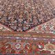 Tapis ancien persan Ferahan 336x412 cm