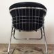 Ensemble de 2 chaises de Gastone Rinaldi 'Flynn' 1970's