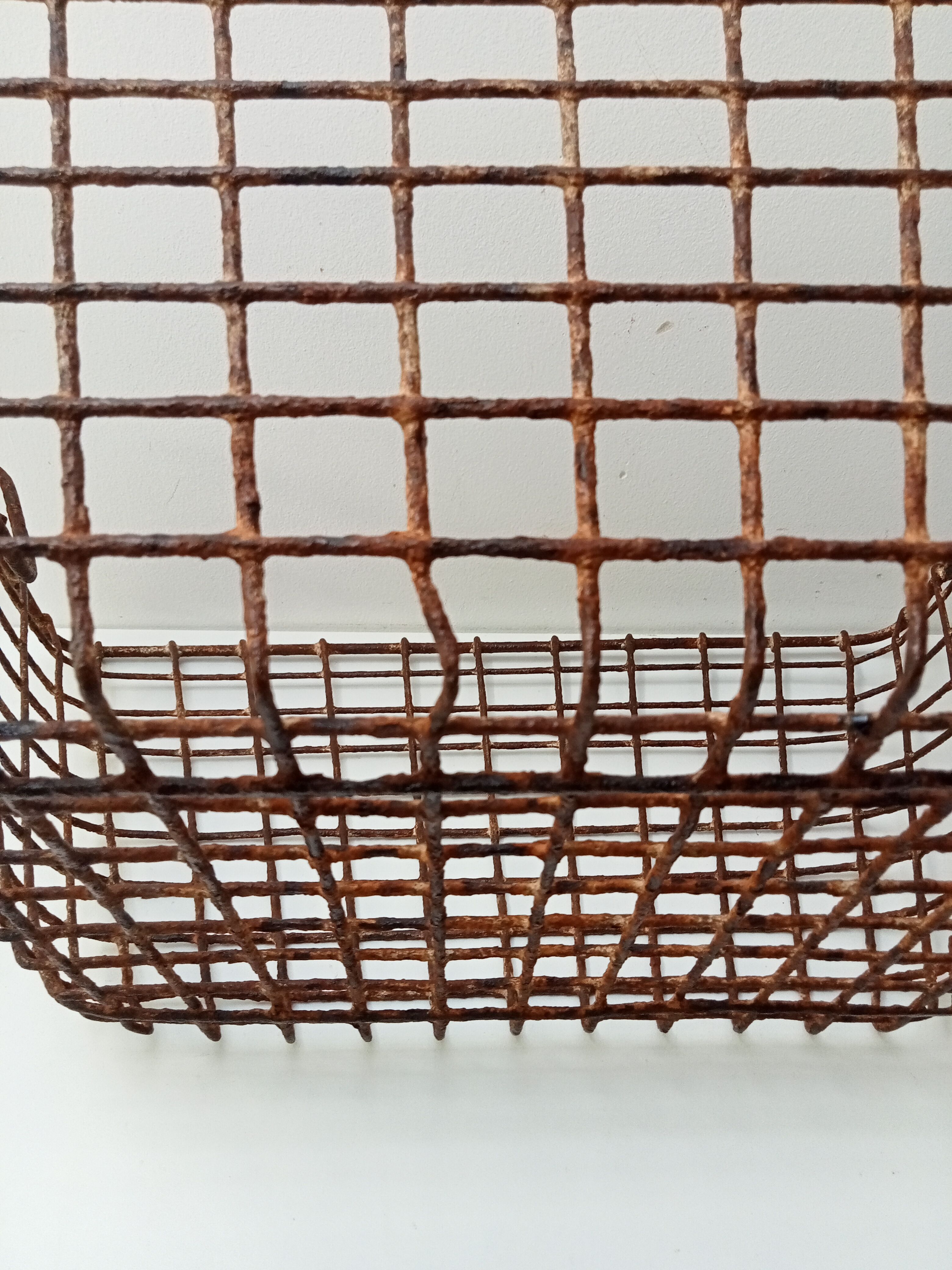 Basket for oil "manna"