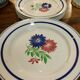 Lot de 11 assiettes fleuries