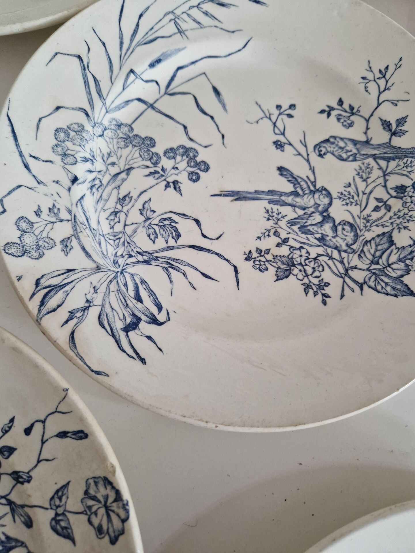 Lot De 9 Assiettes Plates Terre De Fer