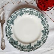 Old flat plates mismatched in iron earth accompanied by a serving dish