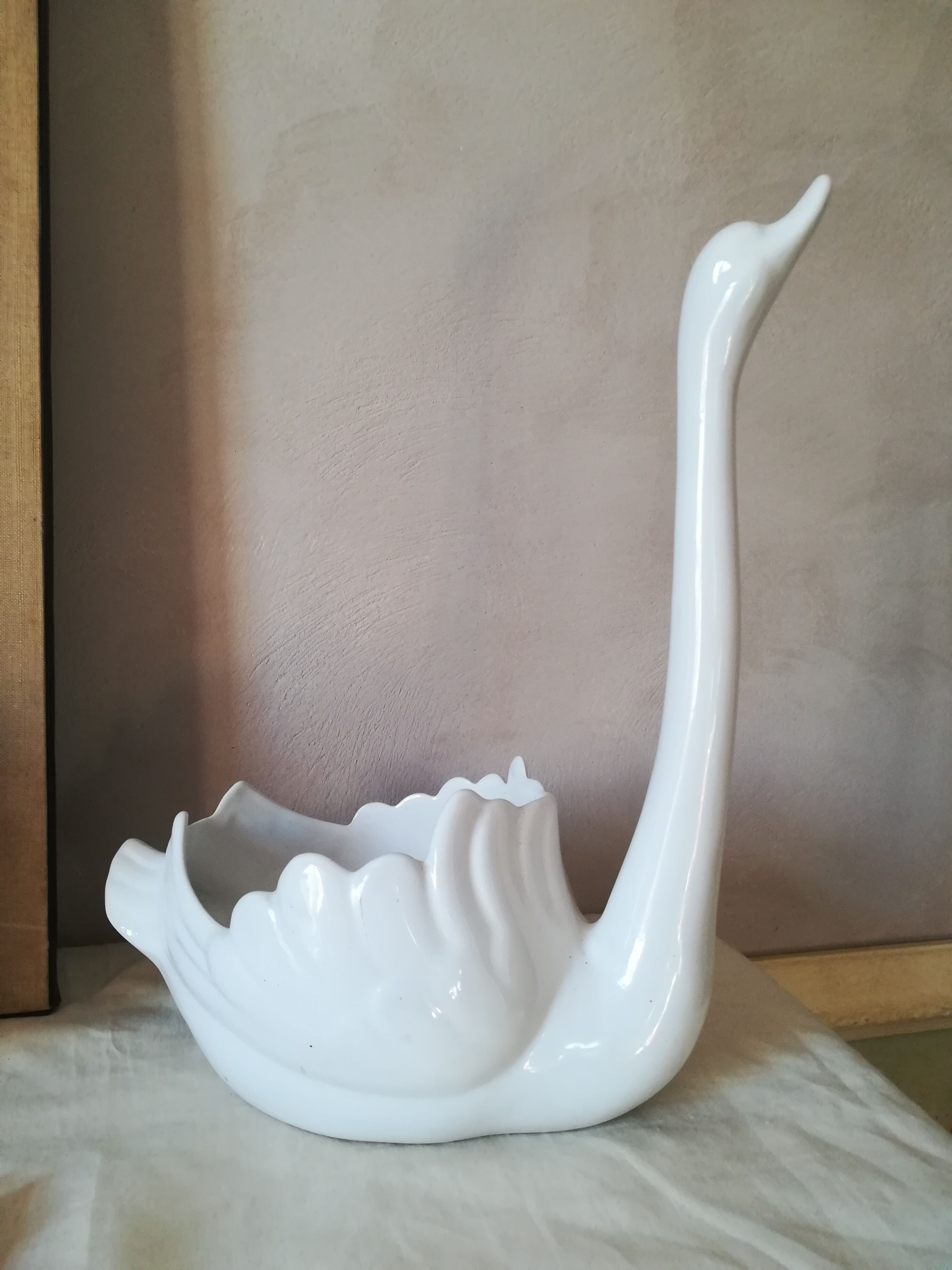 Empty swan pocket in earthenware