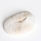 White coral, cabinet of curiosities, 70s