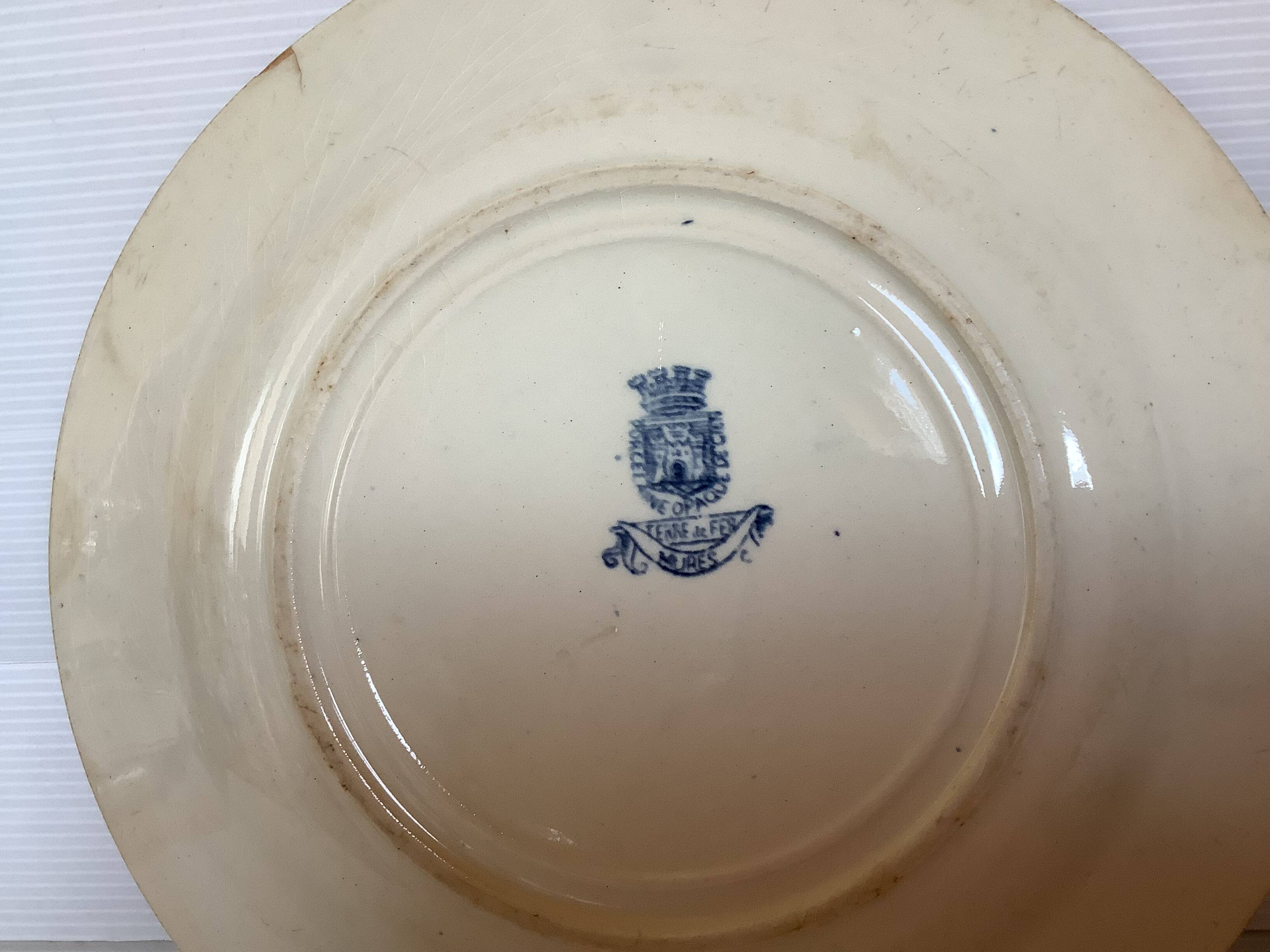 Pair of old mature ironstone plates